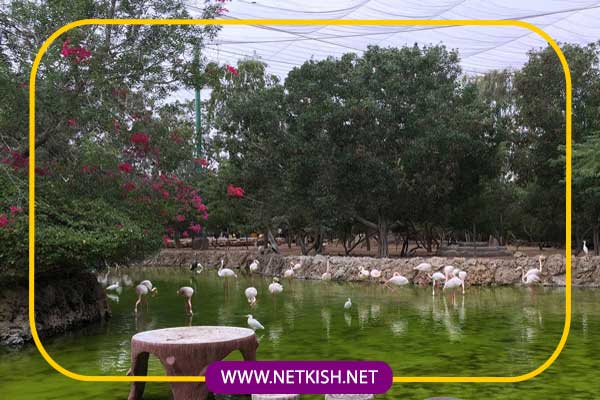 پارک پرندگان کیش