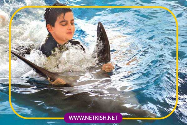 پارک دلفین کیش