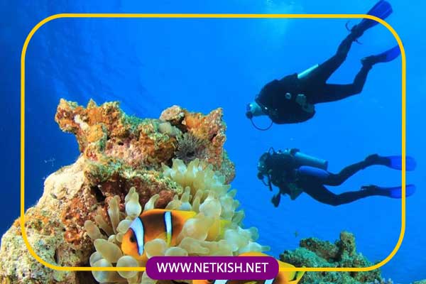 غواصی در کیش | بهترین محل غواصی کیش | تور غواصی کیش 2 غواصی در کیش