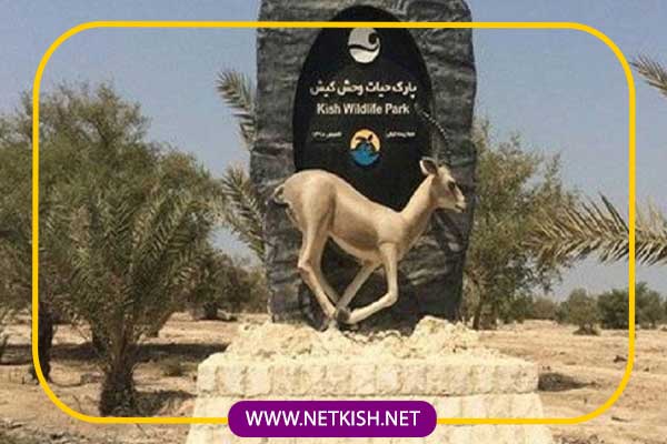 پارک آهوان کیش، مقصدی برای طبیعتگردان 6 پارک آهوان جزیره کیش