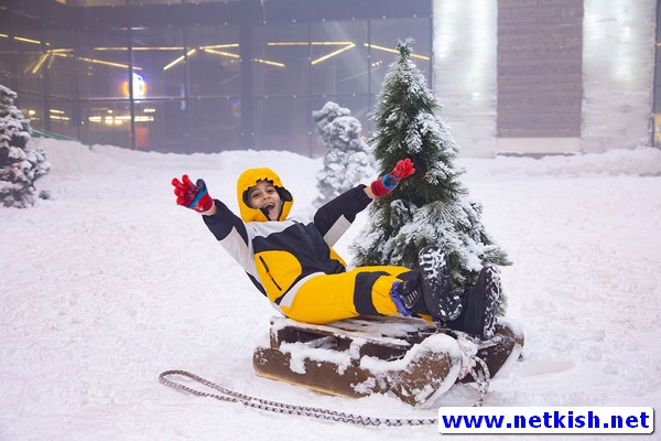 مجتمع ورزش های زمستانی پنگوئن کیش