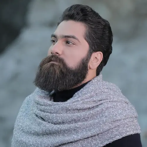 کنسرت علی زند وکیلی