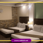 تور کیش هتل پارس نیک