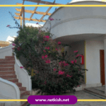 تور کیش هتل فلامینگو