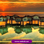 تور کیش هتل ترنج