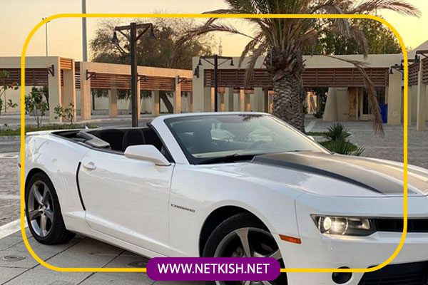 انواع ماشین رنتی کیش