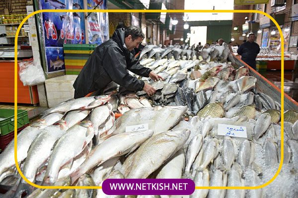 آژانس گردشگری نت کیش و معرفی تور های بازار گردی