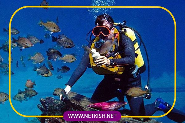  آکواریوم کیش و تماشای دنیای زیر آب