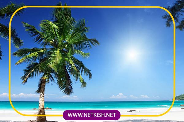 مزایای خرید پرواز چارتر کیش