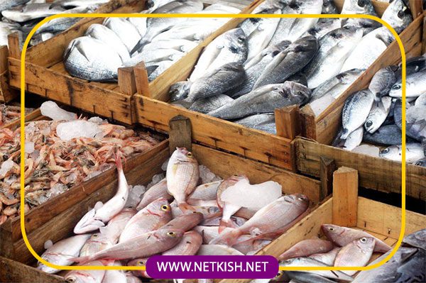 چرا ماهی ‌های کیش خوش ‌طعم ‌ترند