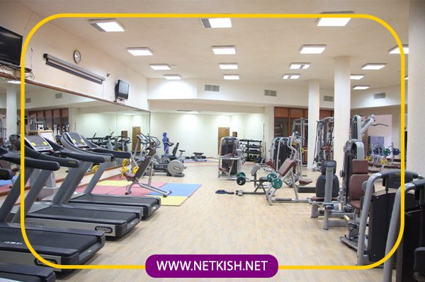 دستاورد های شرکت در نمایشگاه