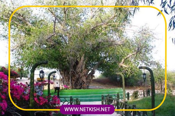 تجربه‌ ای برای همه سنین