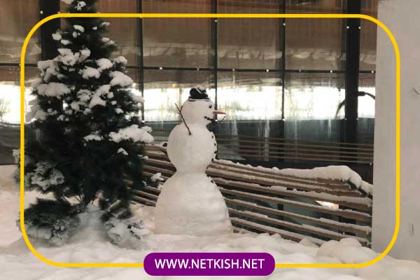 پارک برفی پنگوئن کیش 