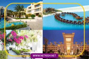 تور کیش